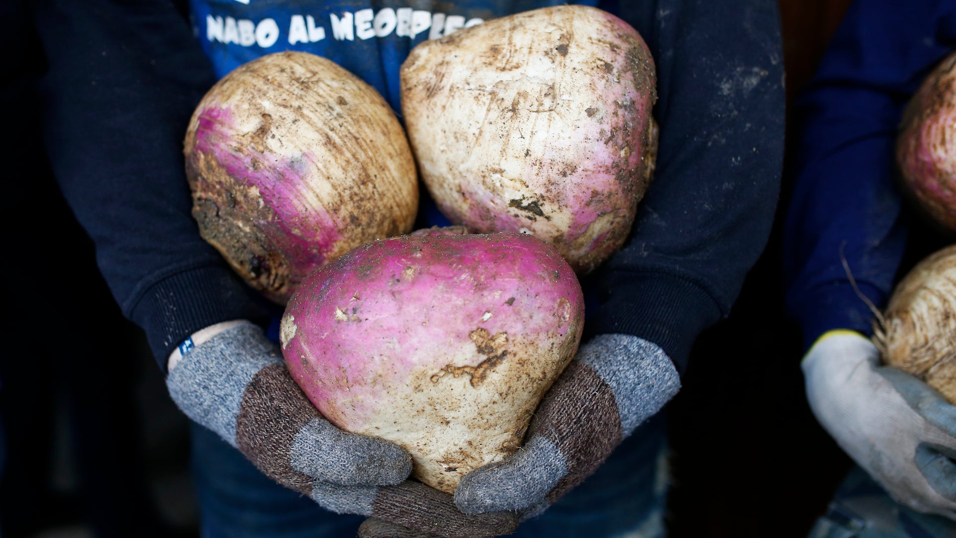 spain_turnip_throwing__4_