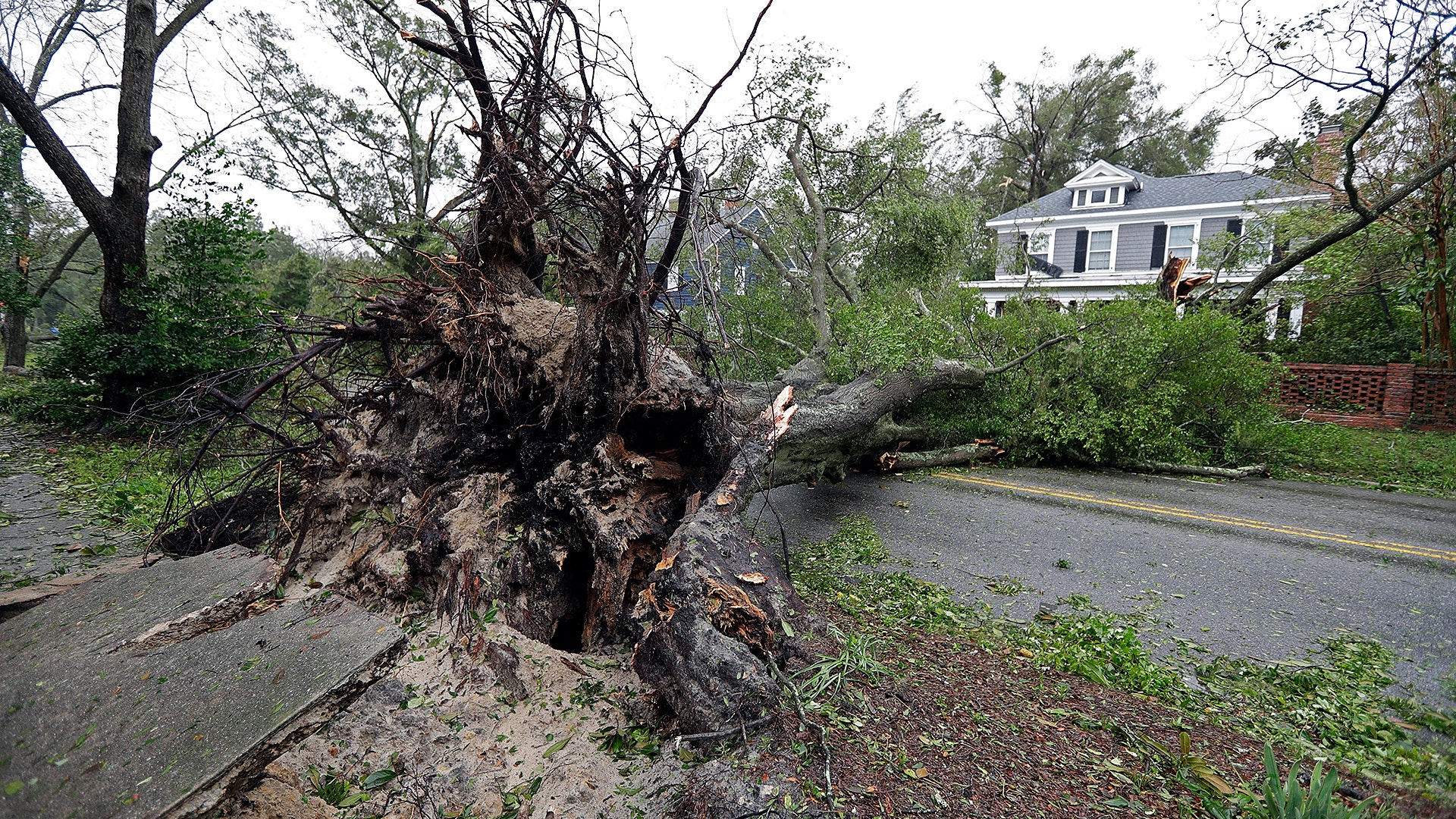 A tree uprooted by strong winds lies across a street in Wilmington, North Carolina after Hurricane Florence made landfall Friday