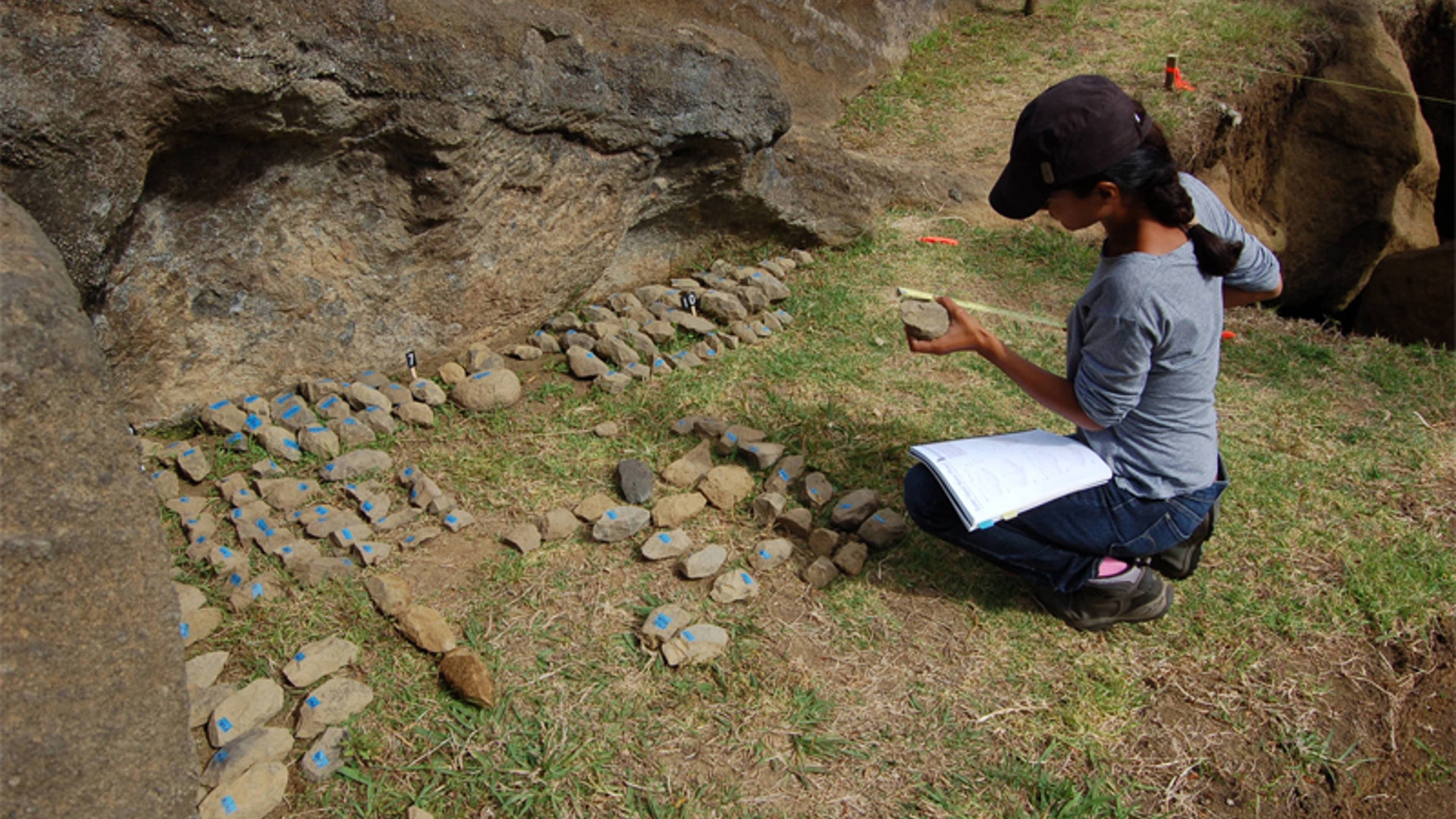 Easter Island Statue Project samples