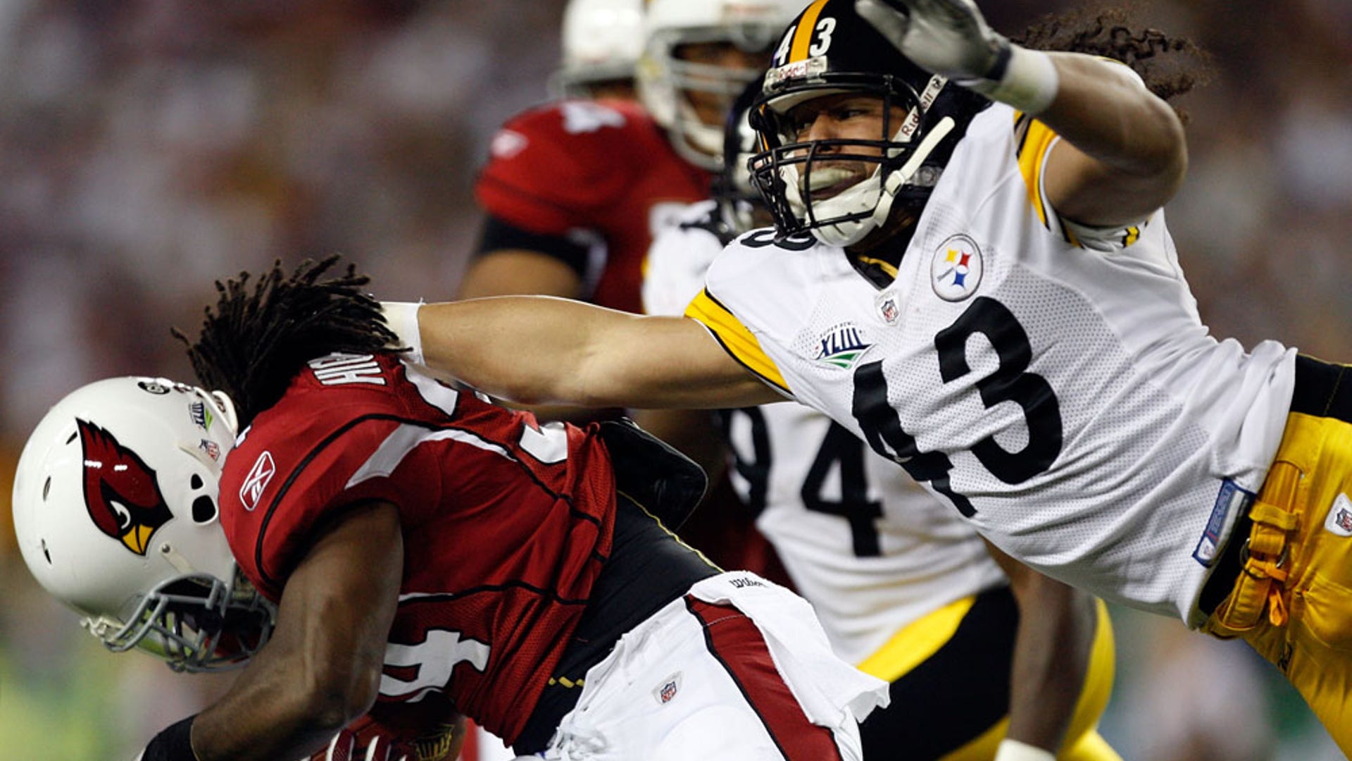 steelers troy polamalu