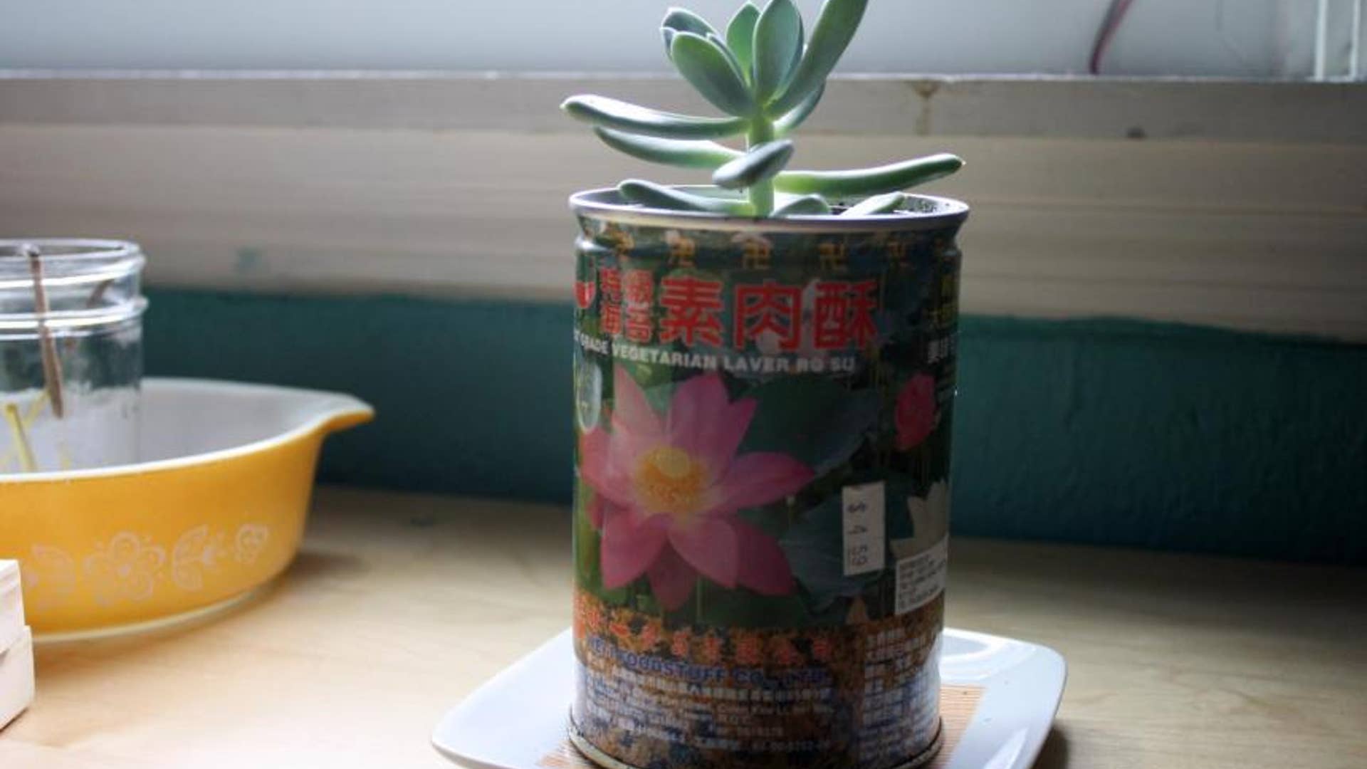 Tin Can Succulent Planter