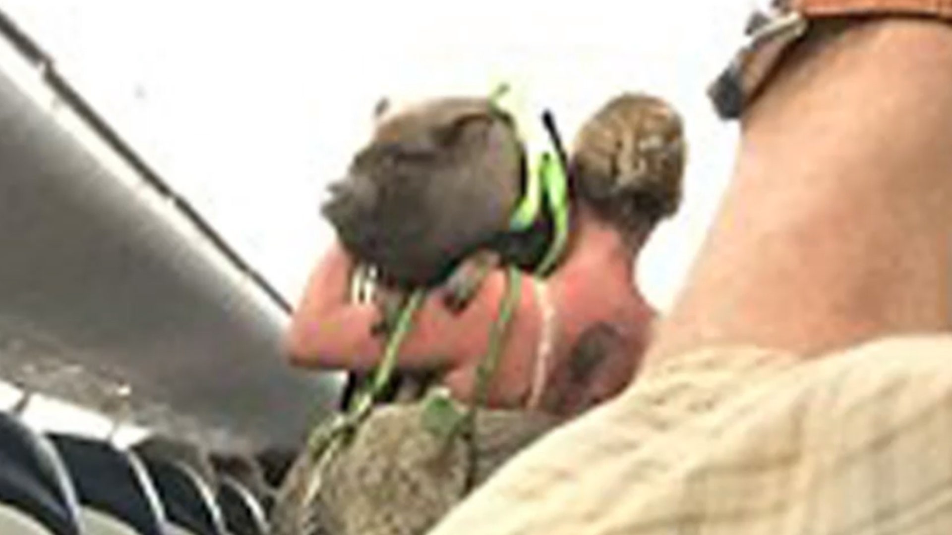 Emotional Support Pig