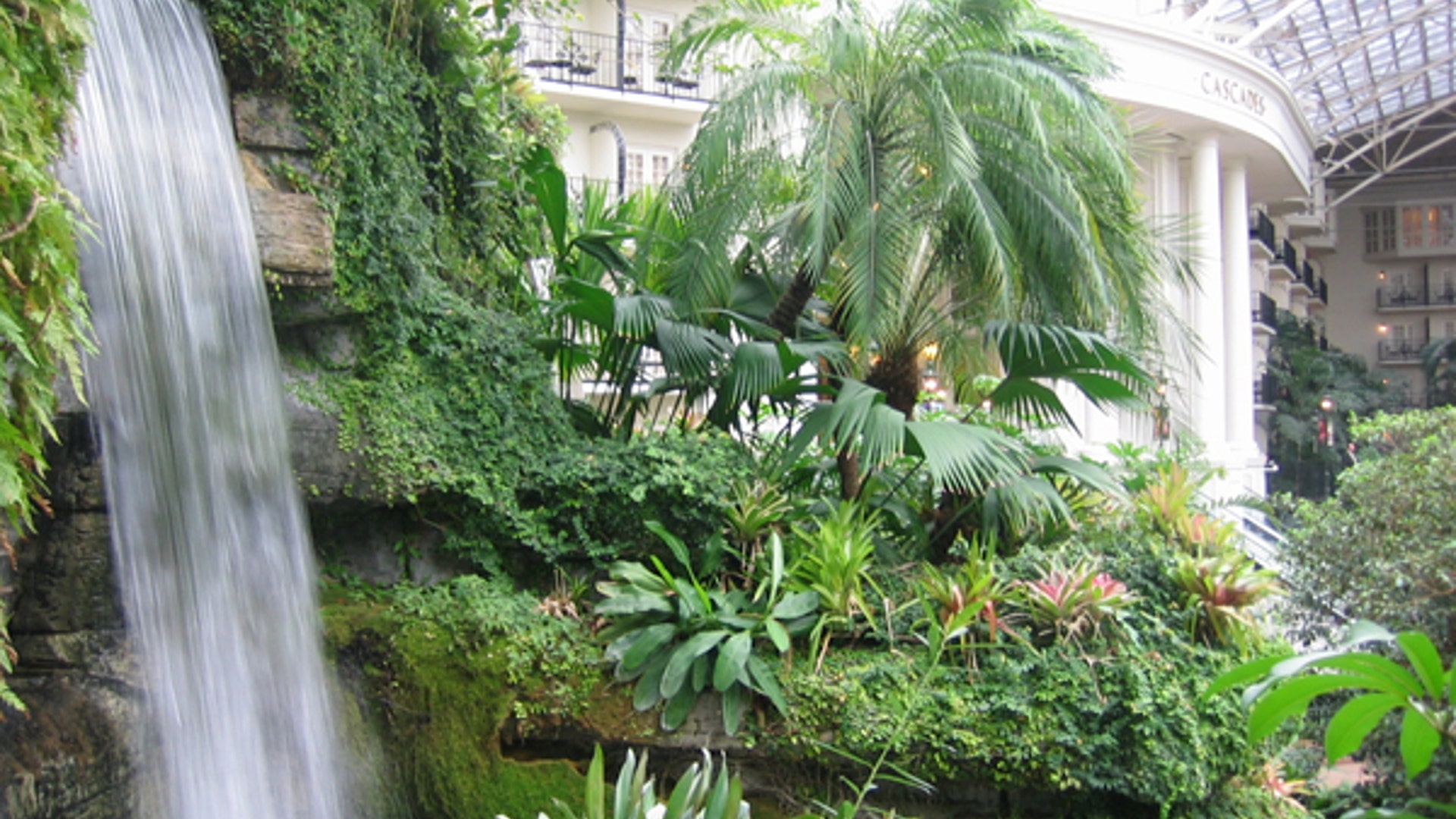 Tea Party Convention