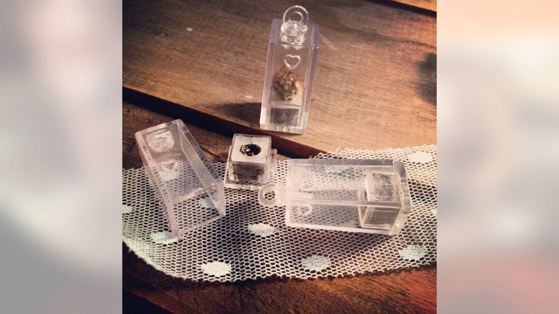 Teardrop Pendant Terrarium Container