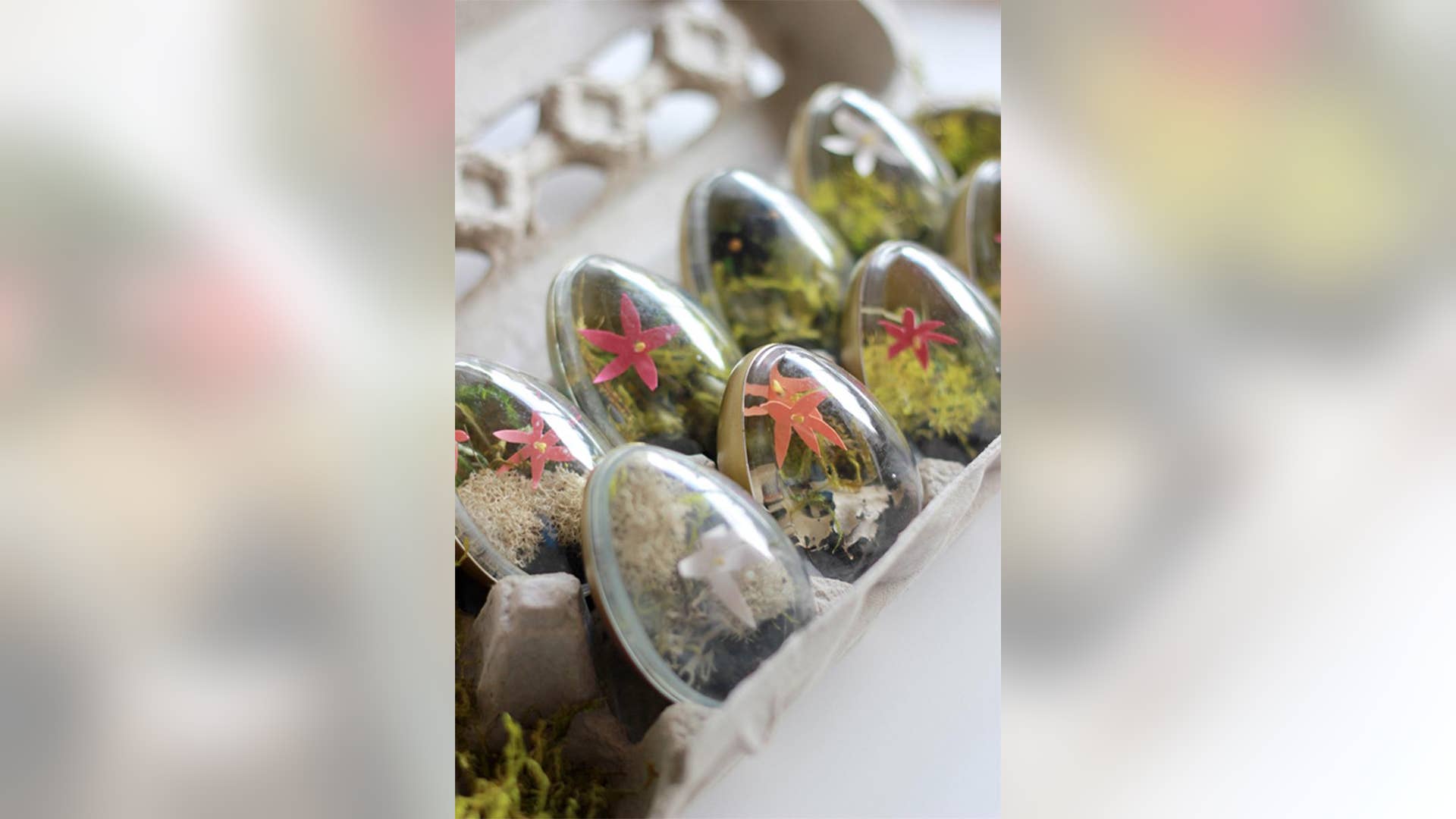 Easter Egg Terrariums
