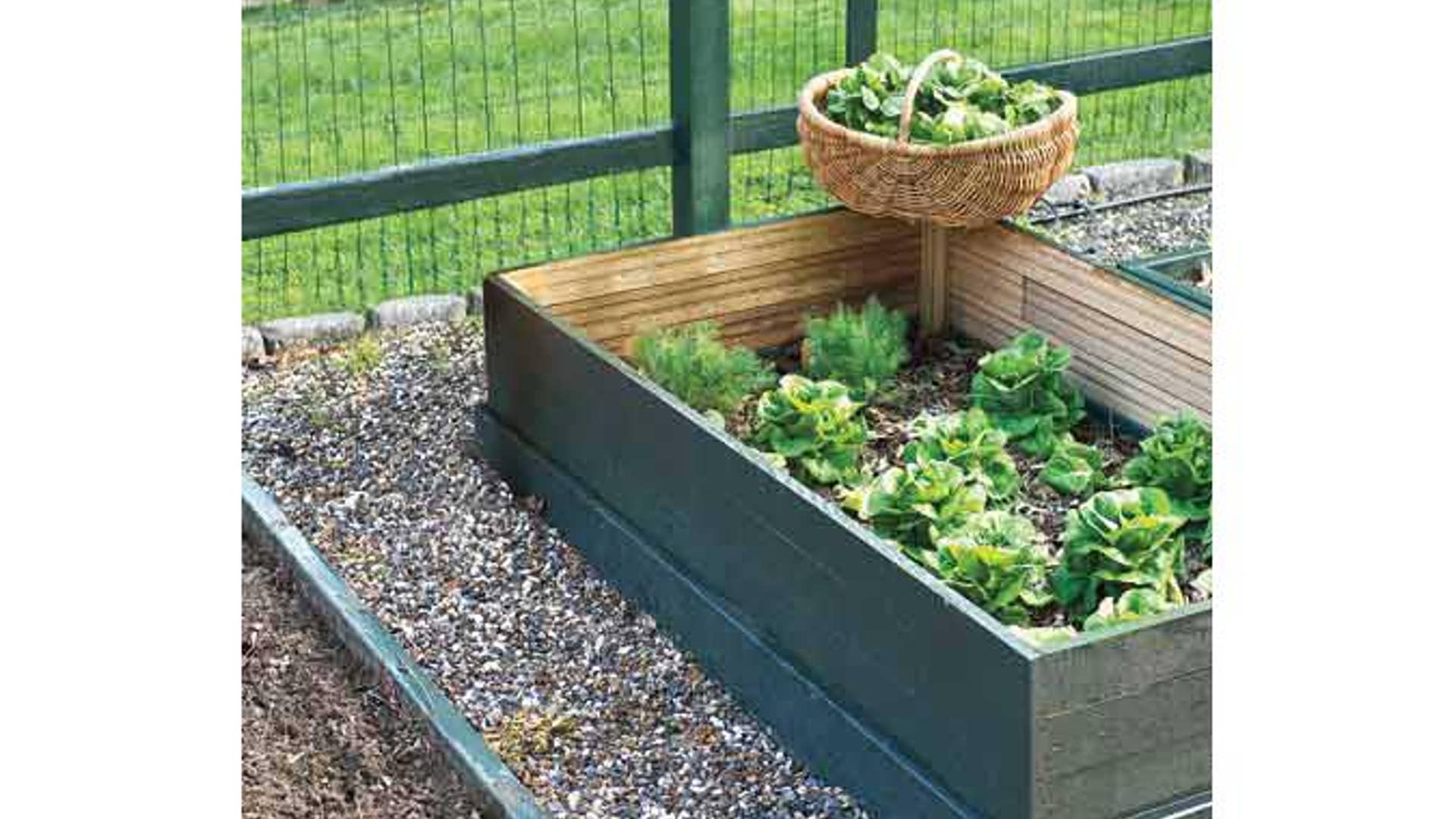 Take Measurements & Pick Your Plants