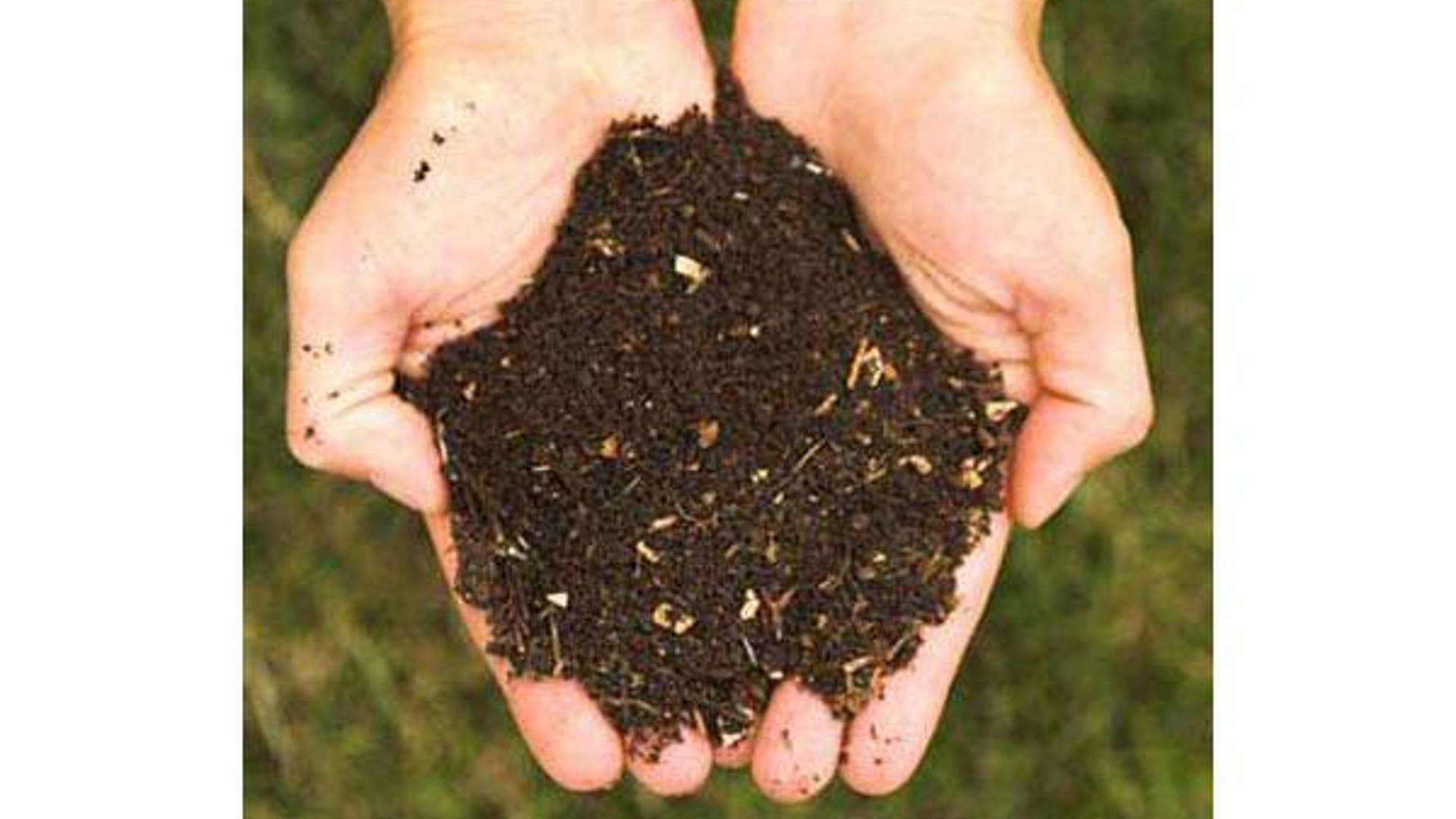Create Optimal Conditions with Compost