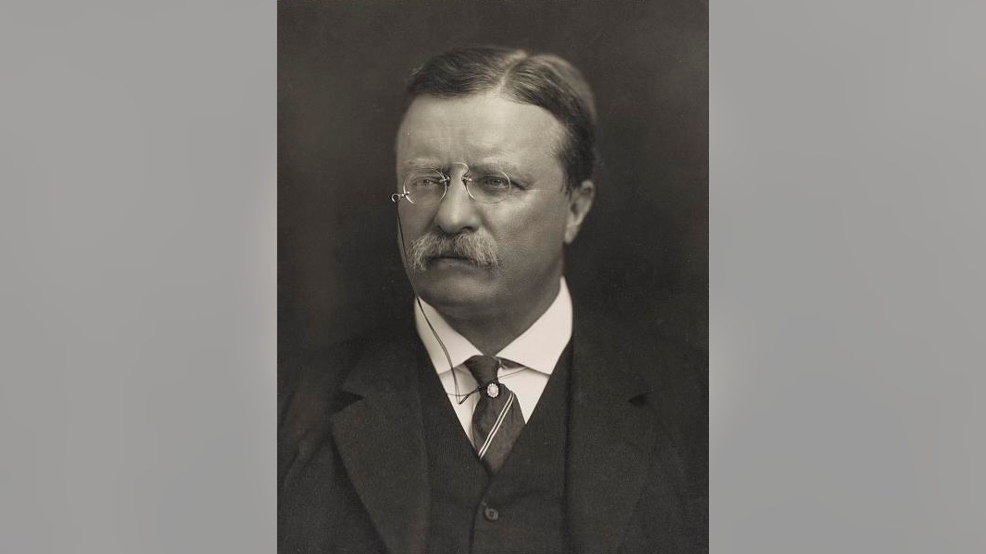 Theodore Roosevelt