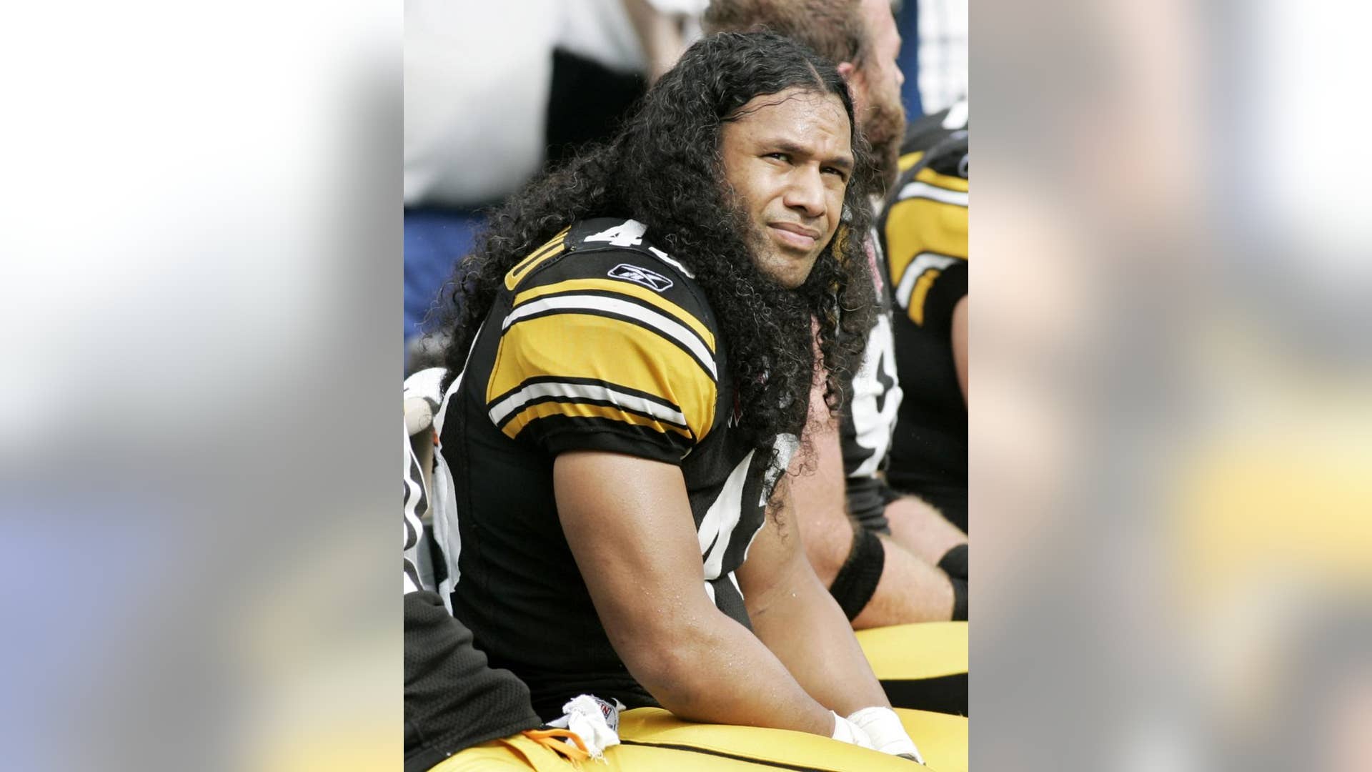 Troy Polamalu