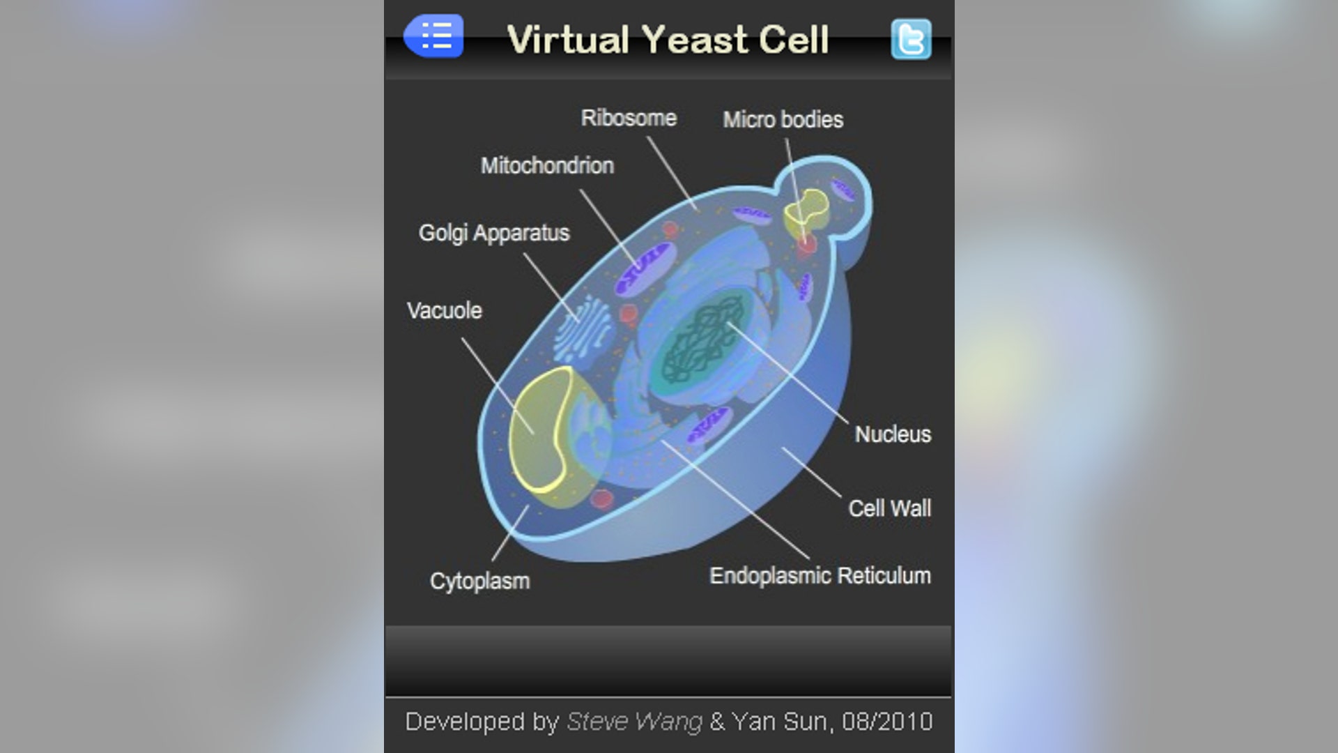 V Virtual Yeast