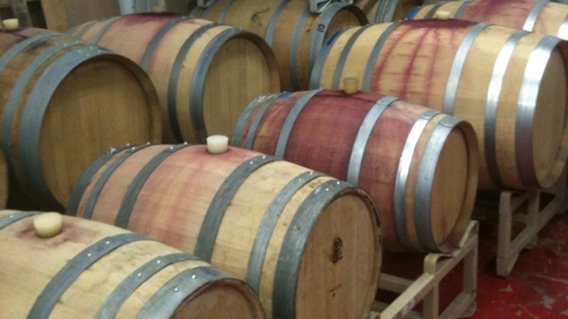 vineryard5