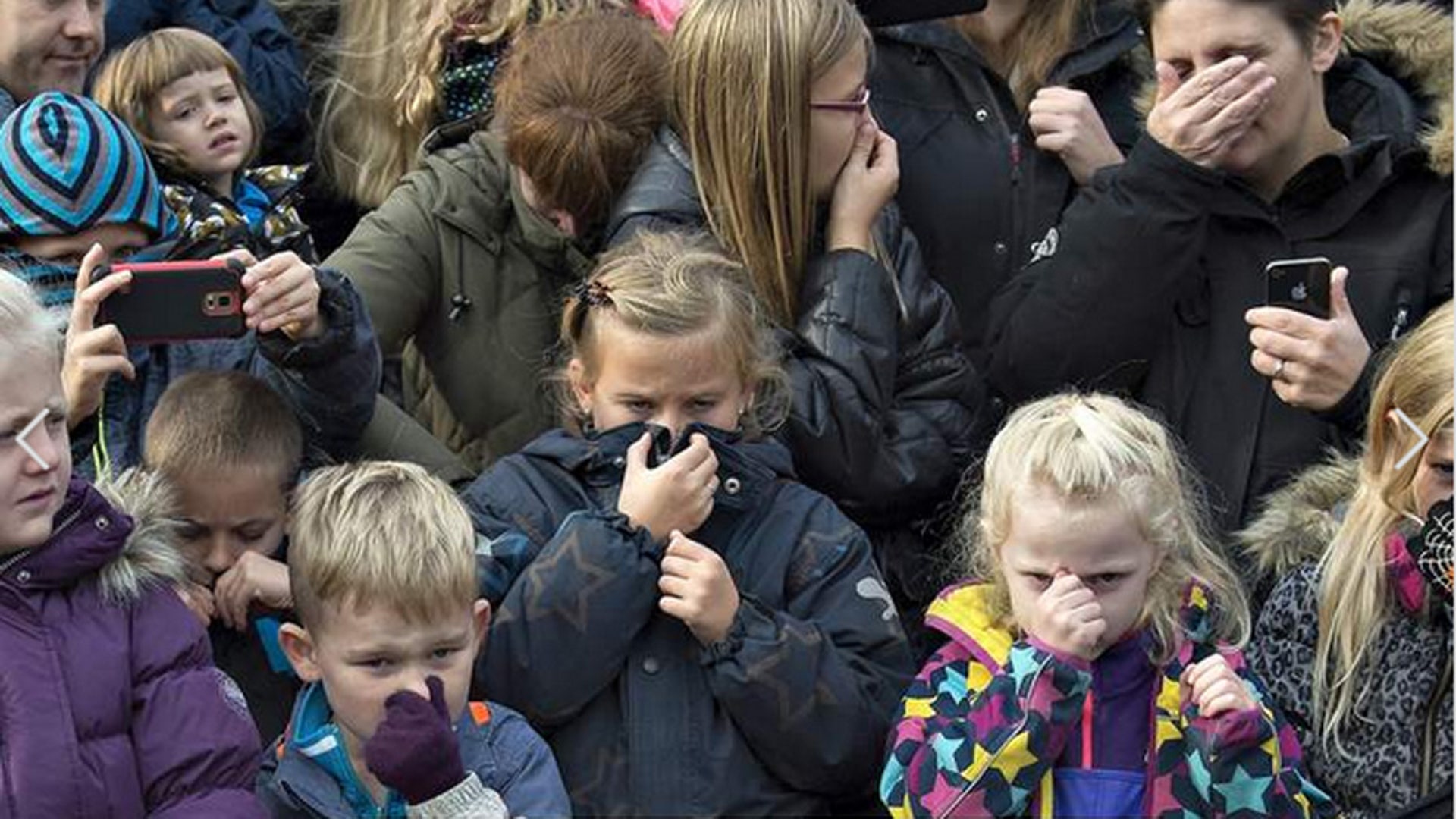 Lion dissected at zoo