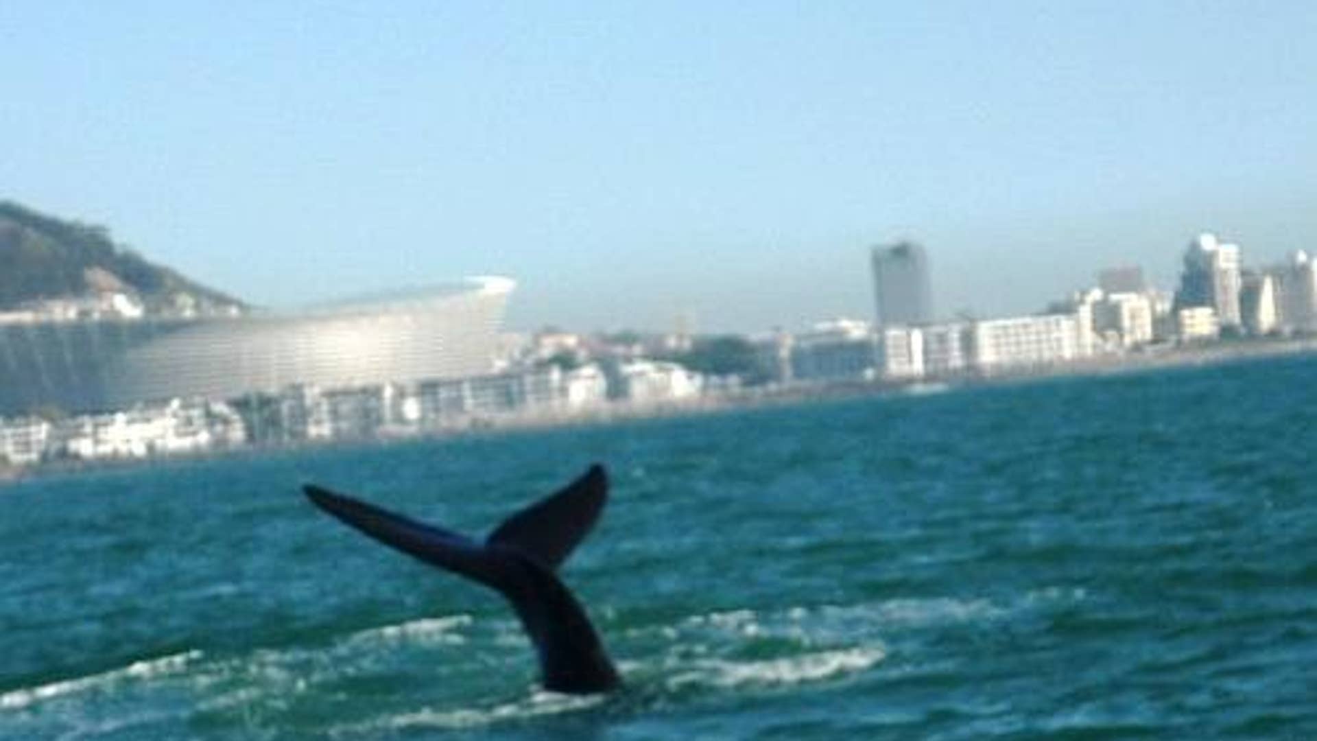 Wrong Place, Wrong Time