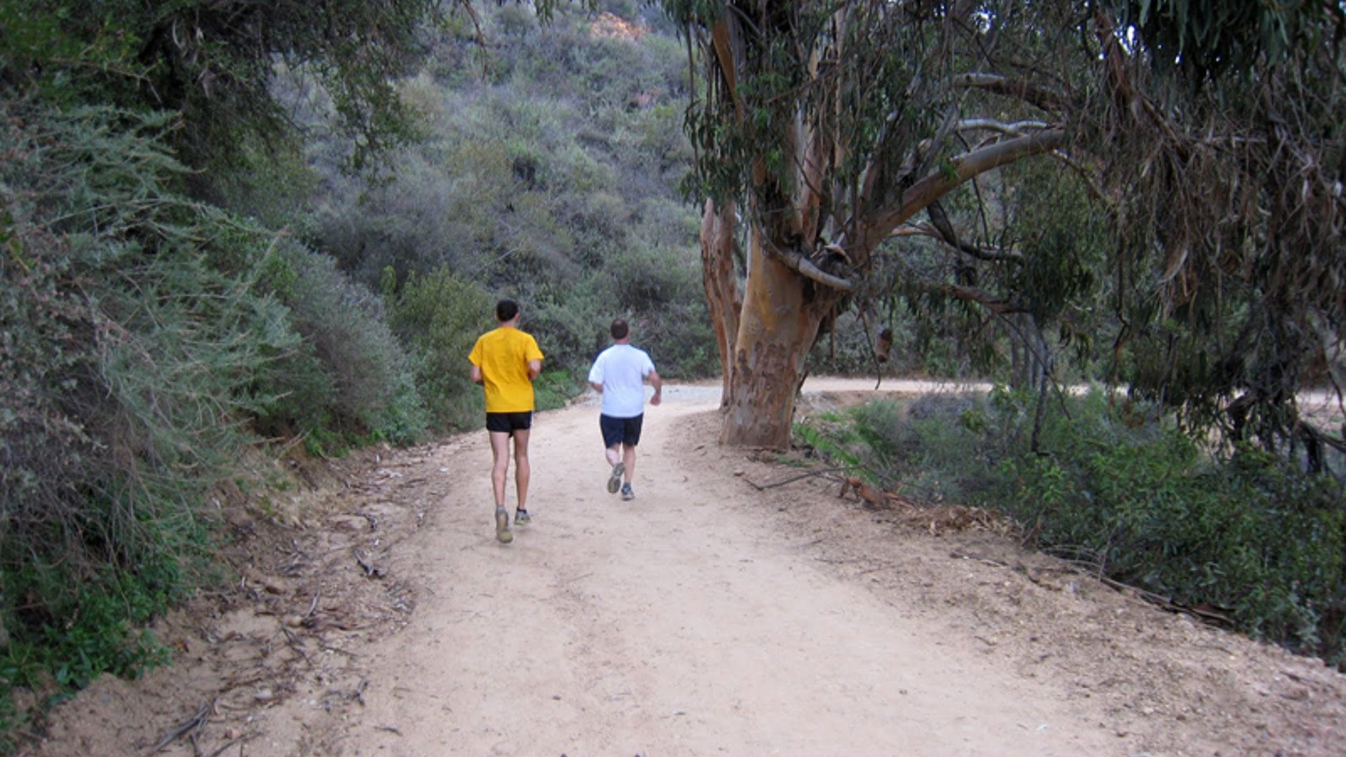 2…Hit the trail with the original Hollywood cowboy