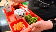 Teacher rips into Korean mom of 5-year-old for packing him 'disgusting and inappropriate' school lunches