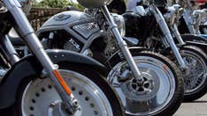 Florida man dies after Harley-Davidson motorcycle test drive goes horrible wrong: police
