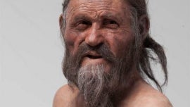 Otzi the Iceman's bowstring identified by scientists