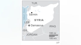 Israeli airstrikes in eastern Syria kill 14 fighters: report