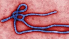 Ebola in Congo now infecting newborn babies, UN says