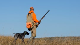 What the left does not understand about hunters