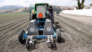 Judge halts Biden's race-based aid for farmers, says challenge is 'likely to succeed'