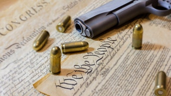 Judge rules illegal immigrants have gun rights protected by 2nd Amendment