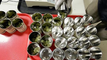 Marijuana Treatment Study on PTSD for Veterans Gets Back on Track