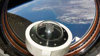 Moon rocks reportedly found in Minnesota government storage area