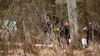 Four dead after small plane crashes in wooded area in Alaska