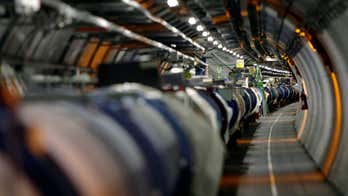 Weasel shuts down world's largest atom smasher in Switzerland