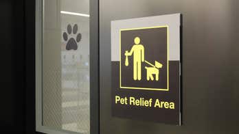 Animals get to use their own bathrooms at JFK airport
