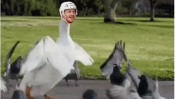 Red Wings get in on Nyquist's Derby win with this celebratory tweet