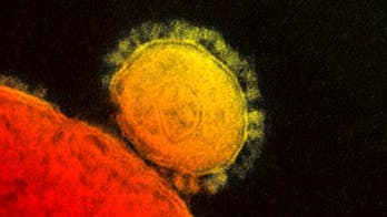 MERS infects 10 in South Korea but no virus mutation, WHO says