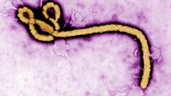Travelers entering US from Uganda to be screened for Ebola