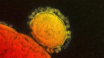 Pace of new MERS infections in Saudi Arabia slows, first cases appear in Iran