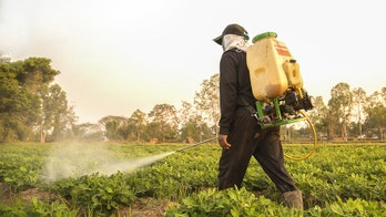 Exposure to pesticides may increase risk of liver cancer