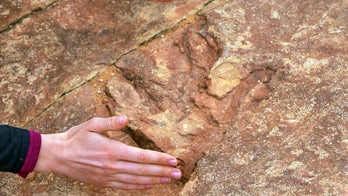 Tourists unknowingly toss dinosaur tracks into lake at a Utah state park