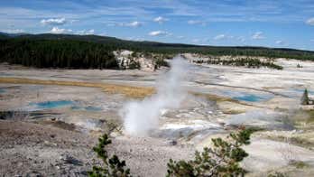 Man seen falling into Yellowstone geyser presumed dead, officials say