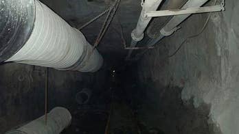 What lies beneath: Tiny organisms thrive below earth's surface