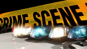 Two St. Louis police officers shot and wounded; two men in custody