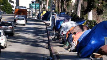 Los Angeles votes to put $1.2B homeless measure on November ballot