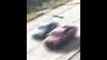 Pennsylvania teen dies after being shot in head in road rage incident, police say