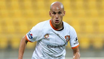 Bosnian team's new player leaves club after stray dog attack