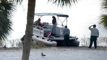 Disney World builds stone wall at lake where alligator killed boy