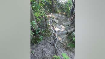 Large piece of snake skin found near Maine river