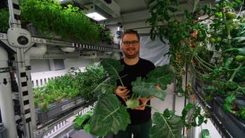 Antarctica greenhouse produces cucumbers, tomatoes and more in Mars-like test
