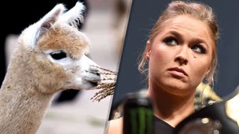 Ronda Rousey has baby llama named after her in Brazil