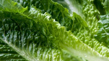 5 sandwich bread alternatives