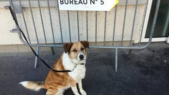 The Latest: First candidates cast vote in French election