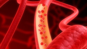 Secrets to longevity found in blood of 115-year-old woman